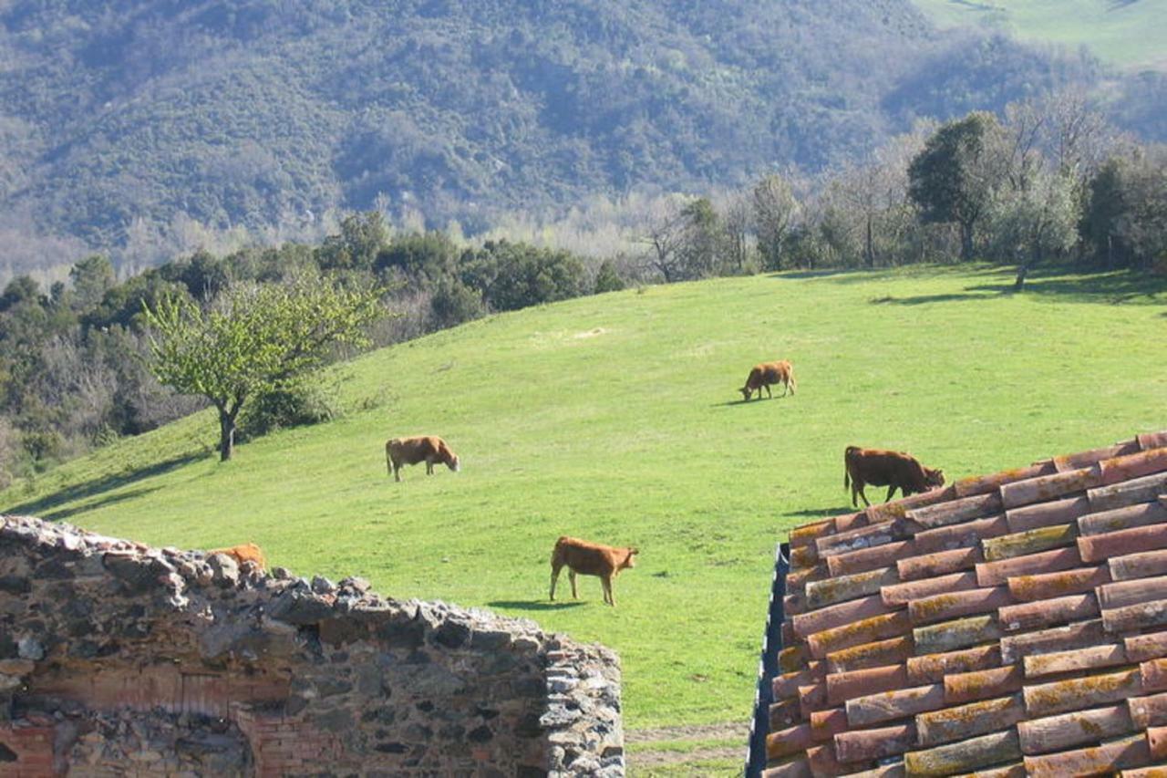 Farmhouse Tuscany Montecastelli Pisano Exteriér fotografie